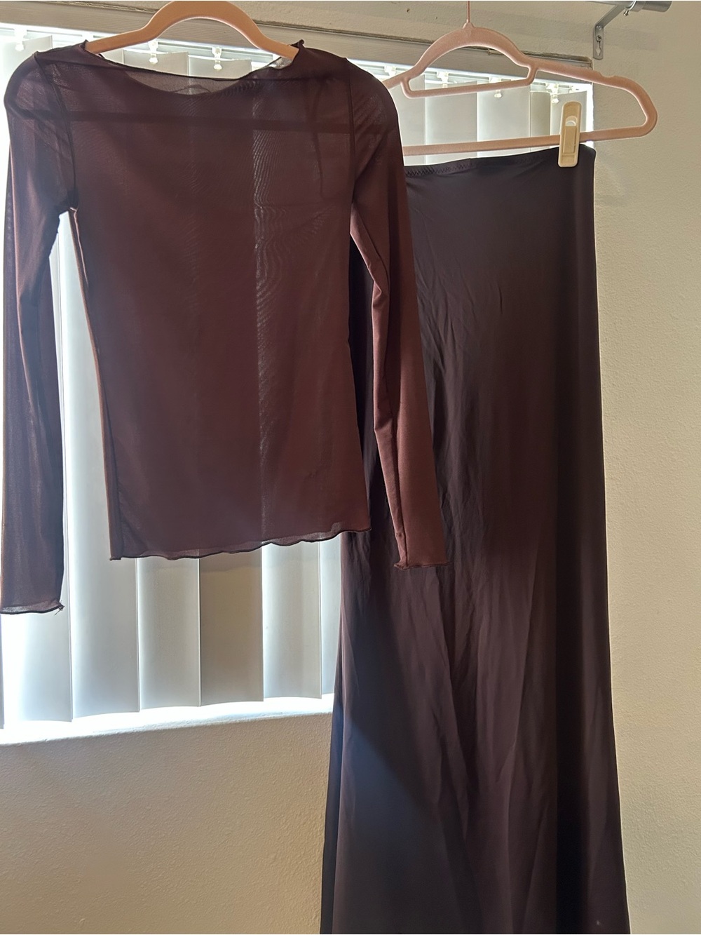 Zara Brown Maxi Skirt with Sheer Long-Sleeve Top